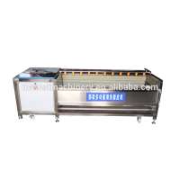 Fruit vegetable brush washing equipment cassava cleaning ginger washer industrial potato peeling machine